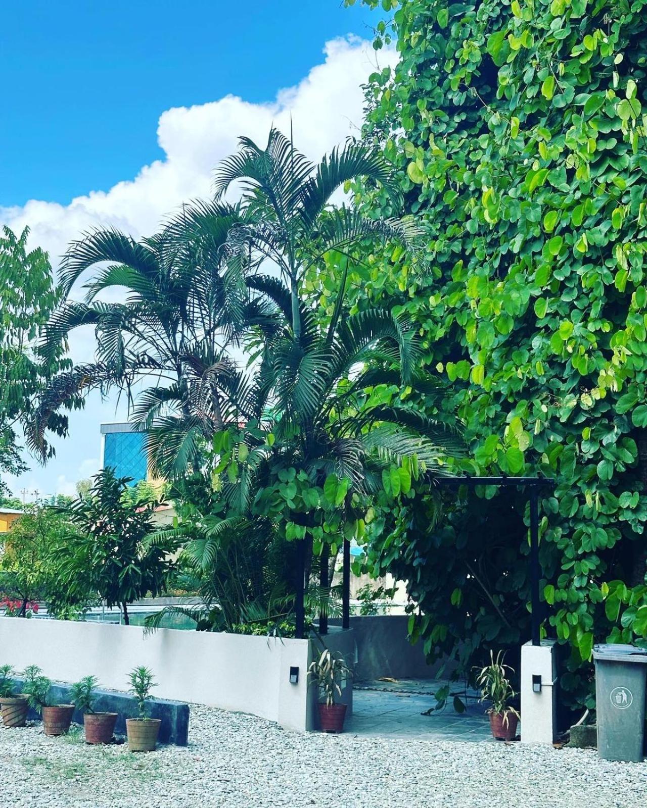 Hotel Parkside & Swimming Pool-Between Greenery And Azure ,Your Perfect Retreat Csitvan Kültér fotó