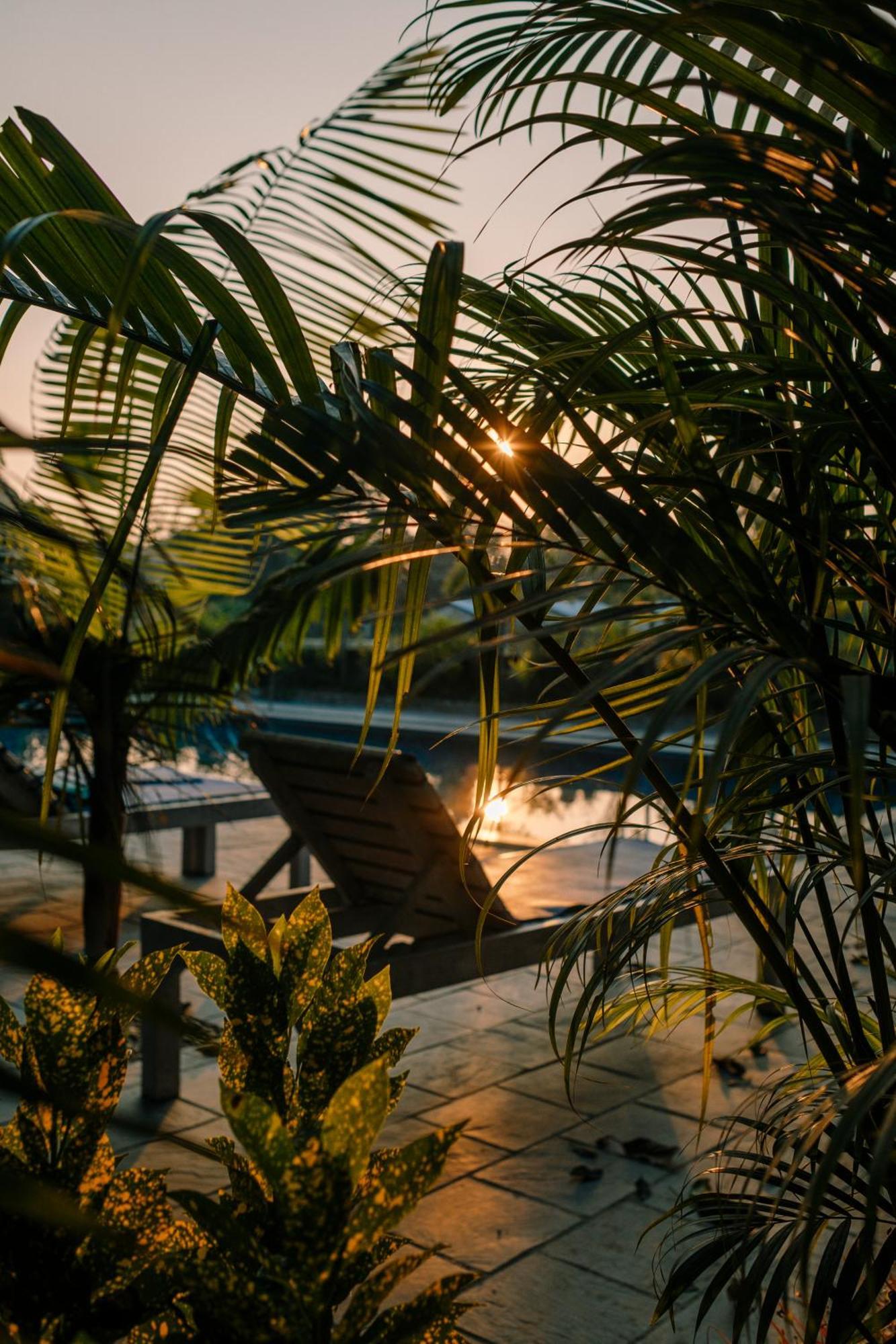 Hotel Parkside & Swimming Pool-Between Greenery And Azure ,Your Perfect Retreat Csitvan Kültér fotó